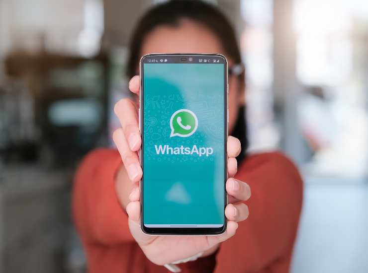 Ormai buona parte del mondo conta su Whatsapp per comunicare con amici, colleghi e familiari. - Zapster.it